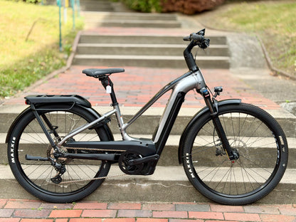 Cannondale Tesoro Neo X 1