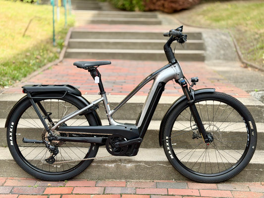 Cannondale Tesoro Neo X 1