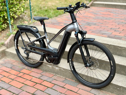 Cannondale Tesoro Neo X 1